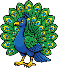 Fototapeta premium Cute Peacock