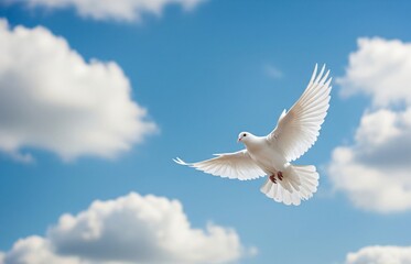 A white dove soaring in bright blue sky with fluffy clouds, peaceful background designed for International Day of Peace celebrations
