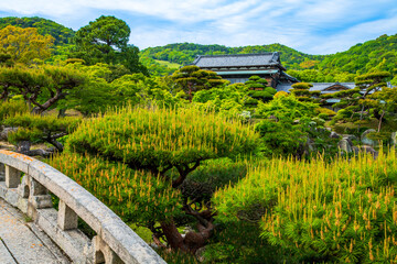 山口県　防府市　旧毛利家本邸　庭園