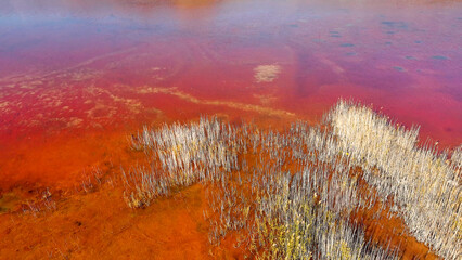 Red salt sea lake, at winter, village Alyki, Boeotia, Greece.