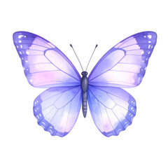 Fototapeta premium Watercolor Violet Butterfly with Lilac Wings, Isolated on Transparent Background PNG