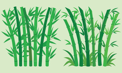 Fototapeta premium Tropical Bamboo Leaves Decoration Green