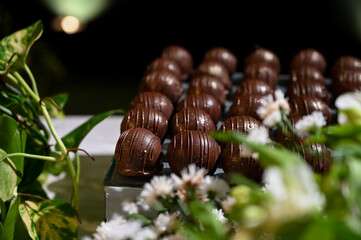 chocolate truffles,truffles,chocolate ball on a wooden tray, condensed milk candy balls, chocolate truffles, brigadeiro, chocolate sprinkles, chocolate candy, condensed milk candy balls, candy balls, 