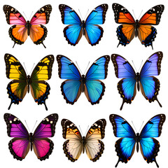 Obraz premium -= Colorful Butterfly Collection in Flight and Perched Poses, Isolated on Transparent Background PNG