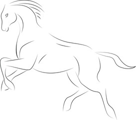 horse vector illustration Icon