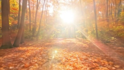 Autumn woodland scene with sunlight through trees, path covered in leaves