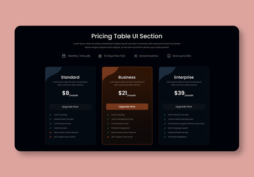 Pricing Plan Concept Page Design