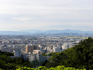 高台から見る街と空港の風景