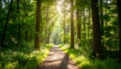 Fototapeta premium Blurred Tranquil Forest Pathway A Scenic Sunlight Walk Through Serene Woods Landscape