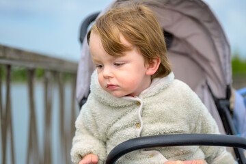 Curious Toddler In Baby Stroller