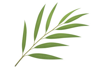 Obraz premium Verdant bamboo branch spreading lush green leaves, complementing botanical and natural graphic design compositions