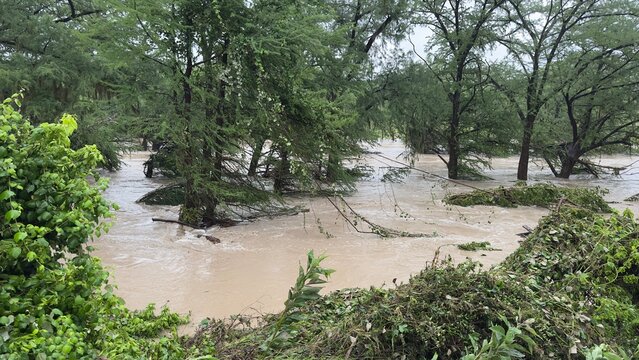 Spring Branch, Texas, USA - July 5, 2025: Guadalupe River after July 4, 2025 floods