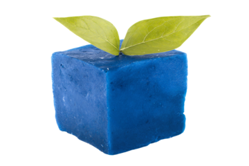 a blue block with a green leaf sticking out of it