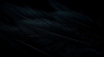 Macro black feather texture iridescent teal violet highlights fine detail edge-to-edge clarity abstract wallpaper premium dark aesthetic generative ai