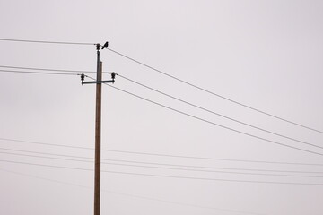 A tall wooden pole with many wires coming out of it