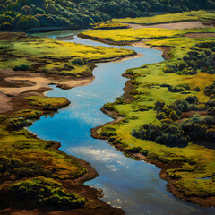 Serpentine River: Nature's Meandering Masterpiece Reflecting the Pulse of Life