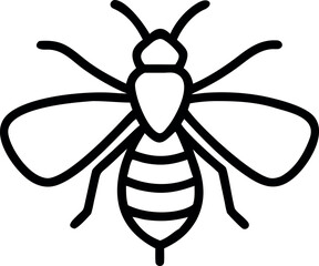 Detailed Outline of Insect Wings and Abdomen Anatomy for Scientific Study