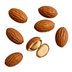 Fresh Raw Nuts Isolated on Transparent Background for Healthy Snack or Cooking Ingredient