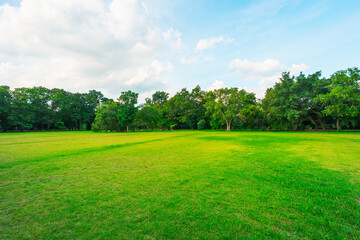 landscape of grass field and green environment public park use as natural background, backdrop.