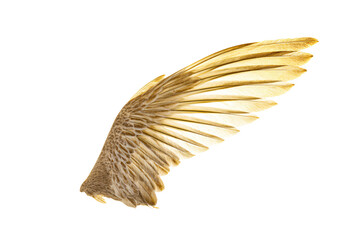 a bird with its wings spread out in the air