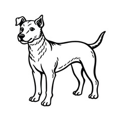 Dog Line Art Drawing on White Background, Dog line art