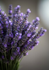 Obraz premium Close-Up of a Purple Lavender Bouquet