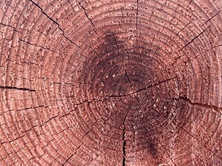 old wood texture