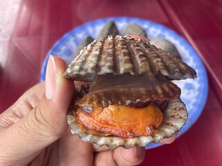 Freshly opened blood cockle, revealing its vibrant orange and reddish interior,  freshness and...