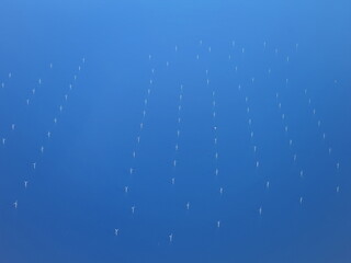 Blue sky with many birds flying in it