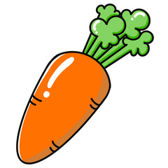 carrot cartoon illustration