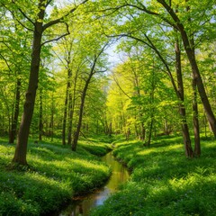 Fototapeta premium Sunlit Spring Forest Stream with Lush Green Foliage