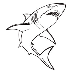 Fototapeta premium Hand Drawn Black Outline Shark Illustration White Background