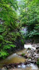 Obraz premium wildromatischer Wasserlauf, Wörschachklamm, Steiermark