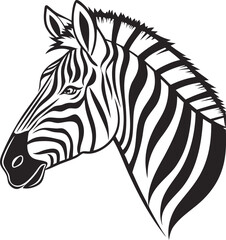zebra vector illustration