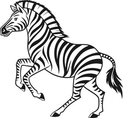 zebra vector illustration