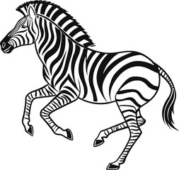 zebra vector illustration