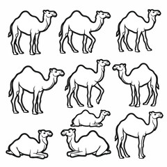 Camel outlines collection, various poses, desert animal