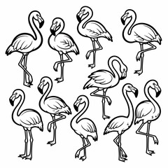 Flamingo birds outline collection isolated on white