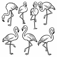 Flamingo birds in various poses outline style
