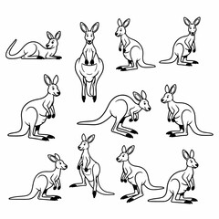 Kangaroos in various poses outline style