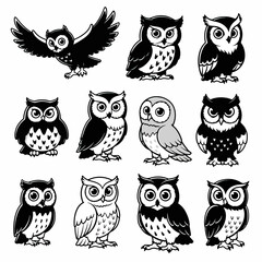 Owls collection in black and white, various poses