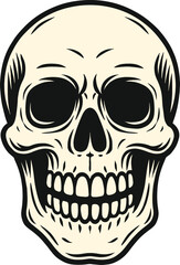 Obraz premium Smiling Human Skull Illustration