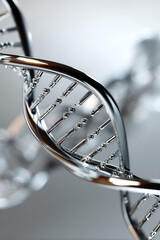 The smooth chrome DNA molecule consists of two long polynucleotide chains.