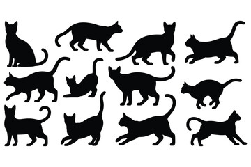 Black cat silhouettes in various poses animal domestic