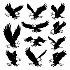 Eagle silhouettes in flight, various poses, black and white