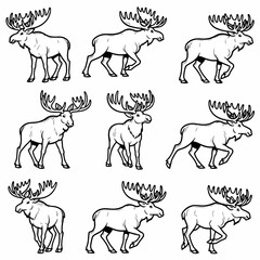 Moose animal outline poses collection for design