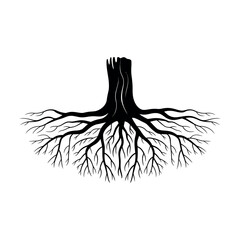 Black tree roots spreading wide white organic