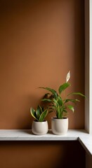 Fototapeta premium Two Potted Plants on Marble Shelf Against Brown Wall with Natural Light