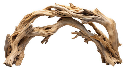 Fototapeta premium A beautifully warped driftwood sculpture showcasing intricate textures and natural curves, ideal for decorative or art displays.