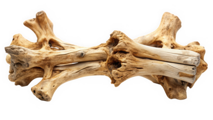 A close-up of intricate driftwood pieces displaying natural textures and patterns. The warm tones of the wood create an organic, rustic aesthetic.